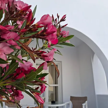 Appart hôtel Alloro