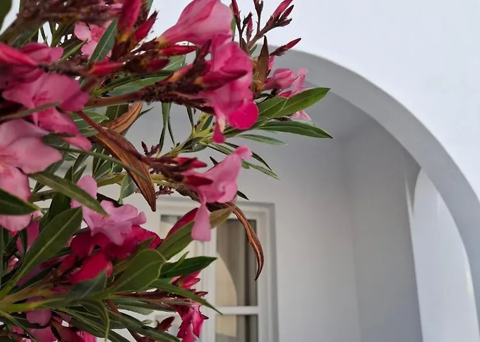 Appart hôtel Alloro